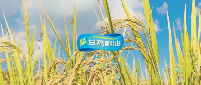 ��ʳƷ������μZ�͡����s���ô�28�A�y�����F�}��ȫ�I(y��)�Ո������ֻ�����